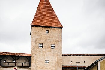 Altmühltal-Radweg (Dollnstein)