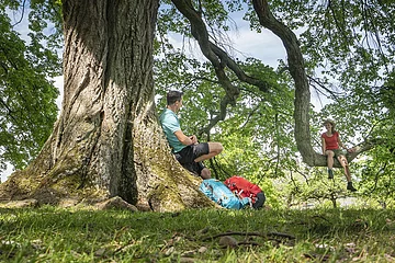 Naturschutzgebiet Buchleite bei Markt Berolzheim