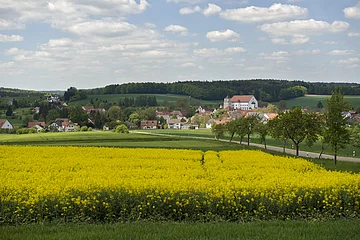 Ansicht Bergens mit Klosterkirche Heilig Kreuz