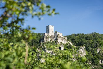 Burgruine Wellheim Burgruine auf einem bewaldeten Felsen unter blauem Himmel, im Vordergrund unscharfe grüne Blätter.