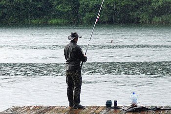 Angler an der Donau Person steht auf Holzsteg und angelt an einem See mit bewaldetem Ufer im Hintergrund.